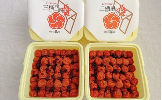  紀州南高梅　かつお梅（塩分10%）　4kg(2kg×2個）  / 田辺市 紀州南高梅 南高梅 梅干し 梅干 梅  肉厚 お米 おにぎり 焼酎 梅酒 健康 【ske043-2】