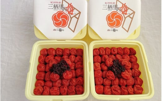  紀州南高梅　しそ梅（塩分13%）　4kg(2kg×2個） / 田辺市 紀州南高梅 南高梅 梅干し 梅干 梅  肉厚 お米 おにぎり 焼酎 梅酒 健康 【ske044-2】