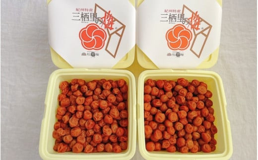 紀州小梅　はちみつ小梅（塩分８％）　4kg(2kg×2個）  / 田辺市 紀州南高梅 南高梅 梅干し 梅干 梅  肉厚 お米 おにぎり 焼酎 梅酒 健康 小梅 はちみつ【ske047-2】