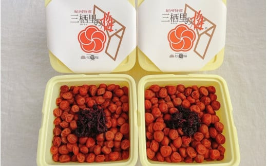 紀州小梅　華（塩分10％）　4kg(2kg×2個） / 田辺市 紀州南高梅 南高梅 梅干し 梅干 梅  肉厚 お米 おにぎり 焼酎 梅酒 健康 小梅 【ske048-2】