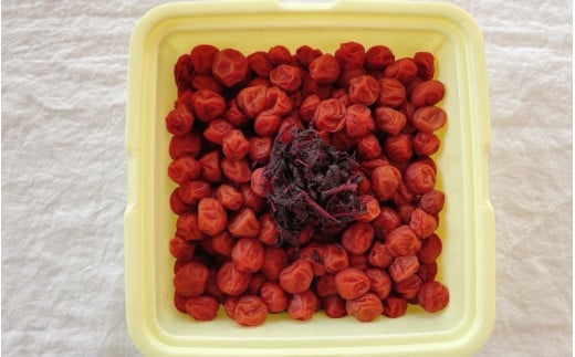 紀州小梅　しそ小梅（塩分13％）　4kg(2kg×2個）  / 田辺市 紀州南高梅 南高梅 梅干し 梅干 梅  肉厚 お米 おにぎり 焼酎 梅酒 健康 小梅 【ske049-2】