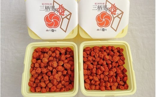  紀州小梅　紀州土用干小梅（塩分20％）　4kg(2kg×2個） / 田辺市 紀州南高梅 南高梅 梅干し 梅干 梅  肉厚 お米 おにぎり 焼酎 梅酒 健康 小梅 【ske050-2】