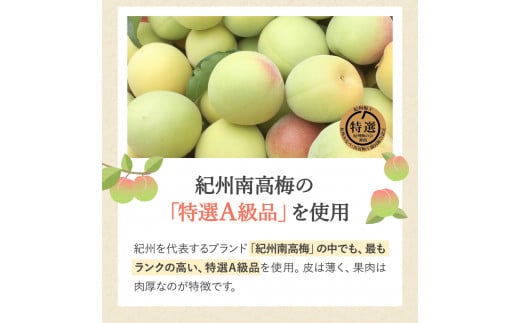 【紀州南高梅】ご飯に合う甘くない はちみつ梅干（塩分8％）80g A級品 / 梅干し 梅干 梅 紀州南高梅 南高梅 はちみつ使用 はちみつ梅 肉厚 お米 おにぎり はちみつ梅 塩分8％ 塩分控えめ 和歌山 田辺市【ske052】