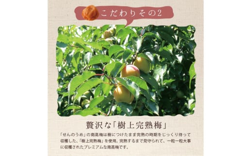 【A級品】紀州南高梅 はちみつ梅 1kg 塩分7％ / 梅干し 梅干 うめぼし 南高梅 はちみつ梅 はちみつ梅干し 国産 梅 うめ ウメ 完熟 健康 ご飯のお供 贈り物 ギフト プレゼント お取り寄せ お茶うけ せんのうめ 和歌山県 田辺市 仙宝【spo001-2】