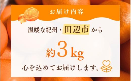 ＼数量限定／ 露地栽培のせとか 3kg / せとか 柑橘の大トロ 高級 ブランド 希少なせとか 品種 和歌山蜜柑 和歌山ミカン 高級みかん 人気みかん 果物 くだもの フルーツ 柑橘 蜜柑 産地直送 国産 和歌山 【tcs027】