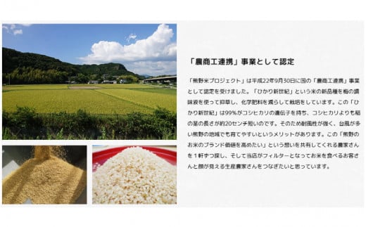 紀州のお米 熊野米5kg /  田辺市 熊野 熊野米 ブランド米 米 ひかり新世紀 お米 コシヒカリ型品種 和歌山 紀州 おこめ ご飯【tgm003-2】