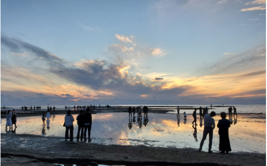 【返礼品なし】天神崎の自然を守るための寄附（寄附のみの受付となります）/ 田辺市 和歌山県 天神崎 自然 海 環境保護 【tjz002】