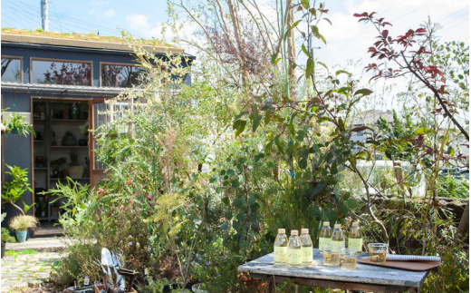 うめドリンク　ストレートタイプ210g×6本 / 紀州南高梅 梅果汁 うめジュース 梅 和歌山 田辺市【umk006】