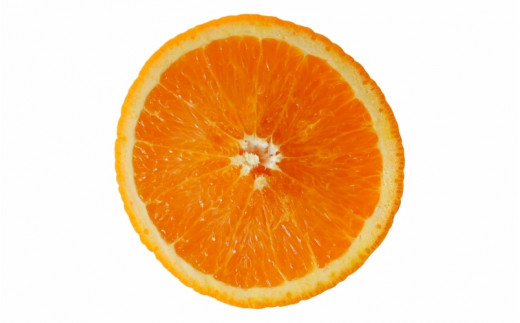 ＜先行予約＞きよみ【秀品】5kg ※2026年3月中旬～4月中旬頃に順次発送予定【期間限定・数量限定】 / 柑橘 季節限定 お取り寄せ 産地直送 贈答品 ギフト 果物 フルーツ 田辺市 和歌山県【ymh007】