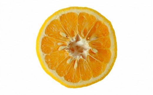 ＜先行予約＞甘夏【秀品】10kg ※2026年4月中旬～5月中旬頃に順次発送予定【期間限定・数量限定】 / 柑橘 季節限定 お取り寄せ 産地直送 贈答品 ギフト 果物 フルーツ 田辺市 和歌山県【ymh011】