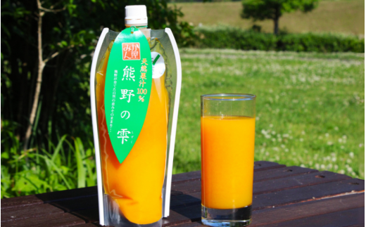 天然果汁100％ みかんジュース 熊野の雫【温州みかん（早生）】500ml× 3 / ミカンジュース 早生みかん 温州 生搾り 果汁100％ ストレート パウチ入 柑橘 和歌山県 田辺市【hso004】