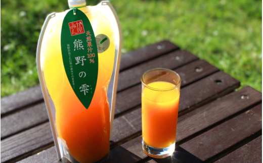 ＜予約受付＞ 天然果汁100％ みかんジュース 熊野の雫（不知火）1L×2  ※2026年4月より発送予定 / ジュース 不知火 しらぬい デコポン 1000ml 果汁100％ ストレート パウチ入 柑橘 和歌山県 田辺市【hso008】