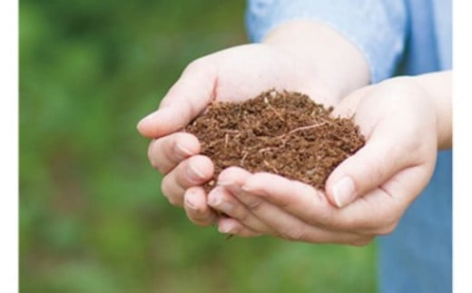 白干梅（塩分20％）400g  / 田辺市 梅干し 梅干 梅 うめ 肉厚 お米 おにぎり おむすび 健康 うす塩味  塩分20％ お弁当 白干 焼酎 紀州産【isg017-3】