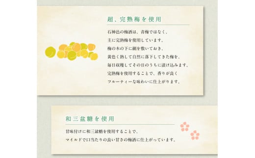 本格梅酒 「HAMADA」黒ラベル 5年熟成 720ml 18度/ 田辺市 梅干し 梅干 梅 うめ 梅酒 酒 紀州産 完熟梅 南高梅 本格梅酒【isg022】