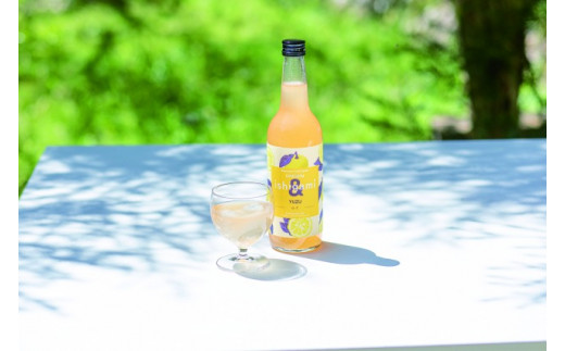 梅酒ishigami&（イシガミアンド) 600ml×4本セット / 田辺市 梅干し 梅干 梅 うめ 梅ジュース 炭酸割り 紀州産 フルーツ【isg039-1】