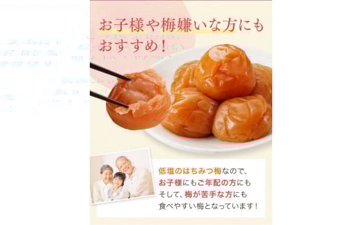 紀州南高梅「蜜恋」（塩分約5％）650g はちみつ梅干し A級品 大粒3L以上 / 和歌山 梅干し 田辺市 紀州南高梅 南高梅 梅干 梅 うめ 肉厚 お米 おにぎり 焼酎 梅酒 健康 はちみつ入り りんご酢 塩分約5％ 塩分控えめ 梅干し 梅干し 梅干し 梅干し 梅干し 梅干し 梅干し 梅干し 梅干し 梅干し 梅干し 【kbe031-2】