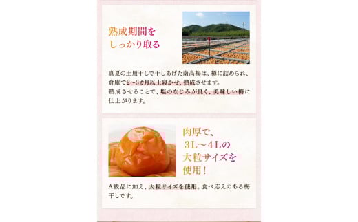 紀州南高梅「蜜恋」（塩分約5％）350ｇ はちみつ梅干し A級品 大粒3L以上 / 和歌山 梅干し 田辺市 紀州南高梅 南高梅 梅干 梅 うめ 肉厚 お米 おにぎり 焼酎 梅酒 健康 はちみつ入り りんご酢 塩分約5％ 塩分控えめ 梅干し 梅干し 梅干し 梅干し 梅干し 梅干し 梅干し 梅干し 梅干し 梅干し 梅干し 梅干し 【kbe042-1】