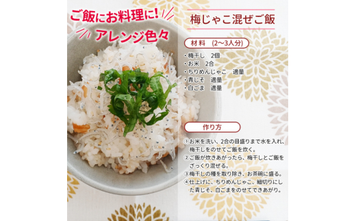 紀州南高梅 備蓄用白干し梅（塩分22%）400g / 紀州南高梅 南高梅 梅干し 梅干 梅 うめ 個包装 防災 備蓄 健康 白干梅 ご飯のお供 和歌山県 田辺市 【kng008-1】