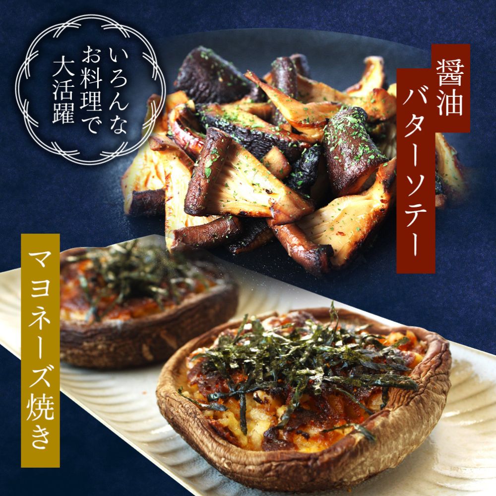 龍神マッシュの生しいたけ１０袋セット / 肉厚 無農薬 菌床栽培 きのこ シイタケ 椎茸  和歌山県 田辺市【mas003】