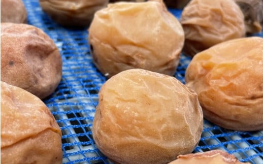 昔ながらのすっぱい梅干 1kg （200g×5） 塩分15％ / 梅干し 田辺市 紀州南高梅 南高梅 梅干 梅 うめ 肉厚 お米 おにぎり 焼酎 梅酒 健康 昔ながら 栽培期間中農薬不使用 和歌山 龍神 【mpt005】