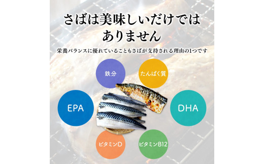 塩さば 切り身 3kg(約20枚前後）厚切り / 鯖 切り身 フィレ サバ 焼き魚 甘塩 冷凍 おかず ご家庭用 和歌山県 田辺市【mts007-5】