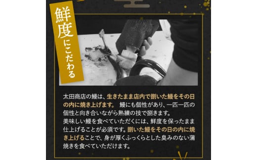 国産うなぎ蒲焼（２本）タレ付き /  和歌山 田辺市 国産 国産うなぎ 国産鰻 うなぎ 鰻 鰻丼 うな丼 土用の丑の日【ots016】