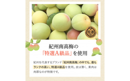 紀州南高梅 はちみつ梅干し （塩分8％）500g A級品 / 梅干し 梅干 梅 和歌山 田辺市 紀州南高梅 南高梅 はちみつ使用 はちみつ梅 肉厚 お米 おにぎり 焼酎 梅酒 健康 はちみつ梅 塩分8％ 塩分控えめ【ske022-1】