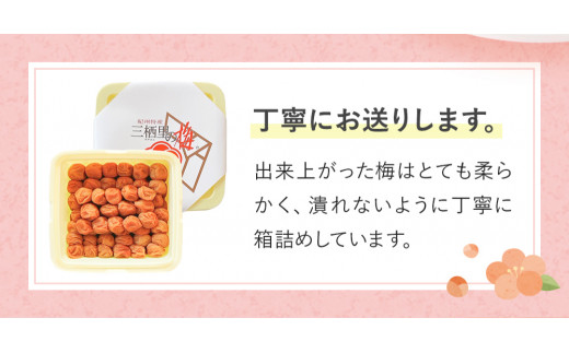 紀州南高梅 はちみつ梅干し （塩分8％）4kg(2kg×2個）A級品 / 和歌山 梅干し 田辺市 紀州南高梅 南高梅 梅干 梅 小梅 はちみつ使用 はちみつ梅 肉厚 お米 おにぎり 焼酎 梅酒 健康 はちみつ梅 塩分8％ 塩分控えめ【ske042-2】