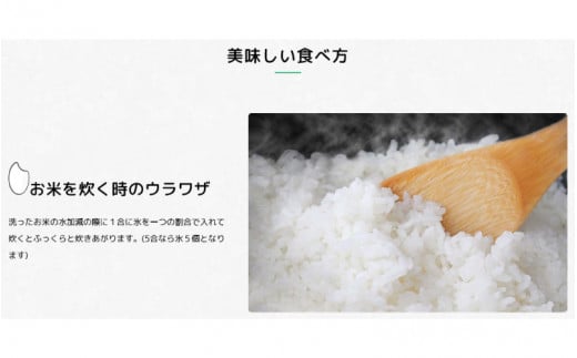 紀州のお米 熊野米2kg / 田辺市 熊野 熊野米 ブランド米 米 ひかり新世紀 お米 コシヒカリ型品種 和歌山 紀州 おこめ ご飯【tgm008-2】 