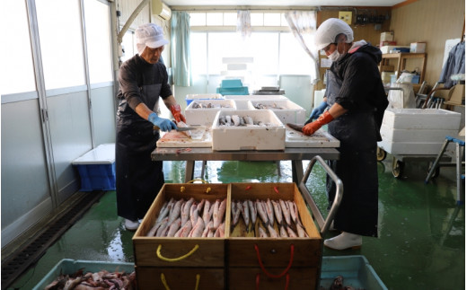 魚の肴Aセット 魚の肴3枚 ひら天3枚 / なんば焼 かまぼこ 蒲鉾 ごぼう巻 おつまみ セット お取り寄せ ギフト 和歌山 田辺市【tnu007】