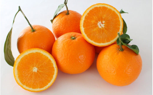 ＜先行予約＞きよみ【秀品】5kg ※2026年3月中旬～4月中旬頃に順次発送予定【期間限定・数量限定】 / 柑橘 季節限定 お取り寄せ 産地直送 贈答品 ギフト 果物 フルーツ 田辺市 和歌山県【ymh007】