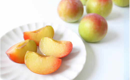 ＜先行予約＞すもも（サマーエンジェル）4パック ※2025年6月下旬～7月上旬頃に順次発送予定【期間限定・数量限定】 / スモモ プラム 冷蔵 季節限定 お取り寄せ 産地直送 贈答品 ギフト 果物 フルーツ 田辺市 和歌山県【ymh013】