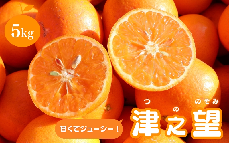 【秀品】 みかん 津之望 5kg （M～2L）【2025年1月より順次発送】 / みかん ミカン 蜜柑 津之望 和歌山 田辺市 紀州 くだもの 柑橘 フルーツ 【aoi005-1】