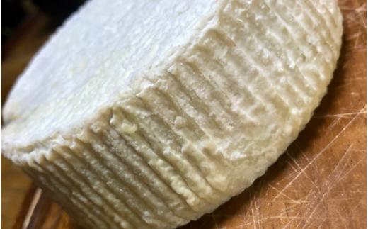 Ushi  カチョッタチーズ1個 / チーズ  サンドイッチ 乳牛 牛 ミルク チーズ  和歌山県 田辺市【dal011】