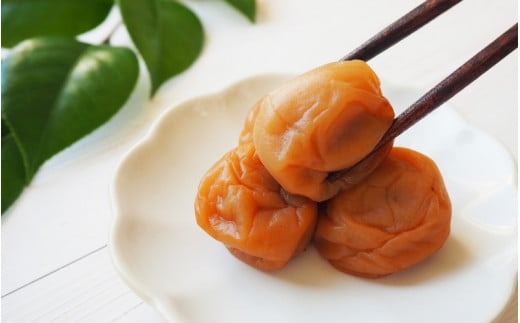 紀州南高梅 うすしお味梅（塩分約8％）500g / 和歌山 田辺市 紀州南高梅 南高梅 梅干し 梅干 梅 うめ 肉厚 お米 おにぎり 焼酎 梅酒 健康 うす塩味【hnt024】