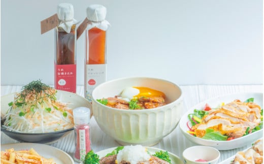 うめ旨焼きたれ・うめドレッシング・うめ塩セット / 田辺市 紀州南高梅 南高梅 梅干し 梅干 梅 うめ 健康 うめドレッシング ドレッシング 梅塩 たれ 焼きたれ うめ塩 セット 詰合せ【isg028-2】