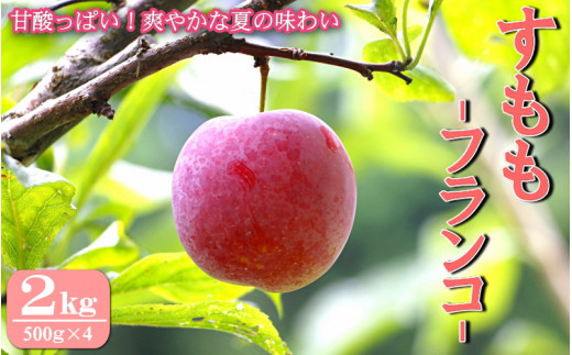 先行予約 すもも（フランコ）2kg  ※6月中旬～7月中旬頃に順次発送予定【期間限定・2026/6/20まで】 / スモモ お取り寄せ 期間限定 夏 フルーツ 果物 サンタローザ 和歌山県 田辺市【mtm003-1】