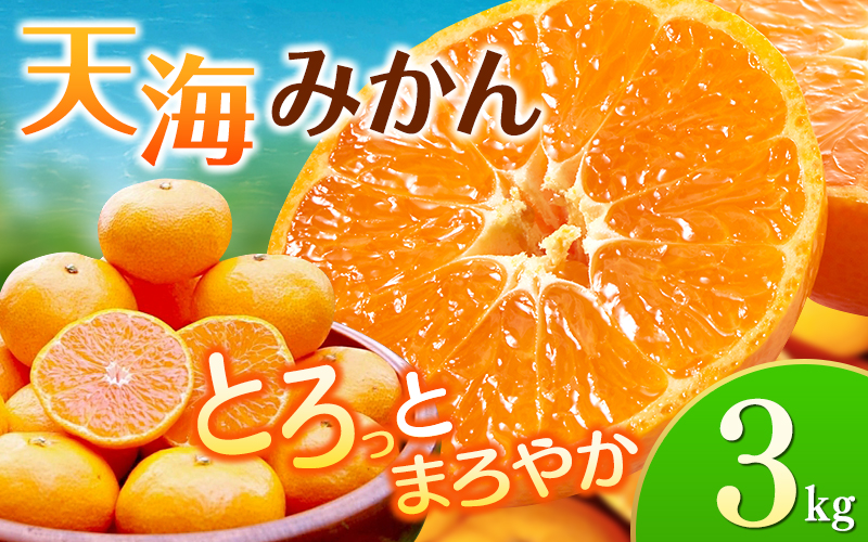 完熟早生みかん　宮川早生３kg※2025年12月から順次発送予定※ 【期間限定・12/20まで受付】/ 和歌山県 ミカン フルーツ 果物 柑橘 田辺市 【nak005-1】
