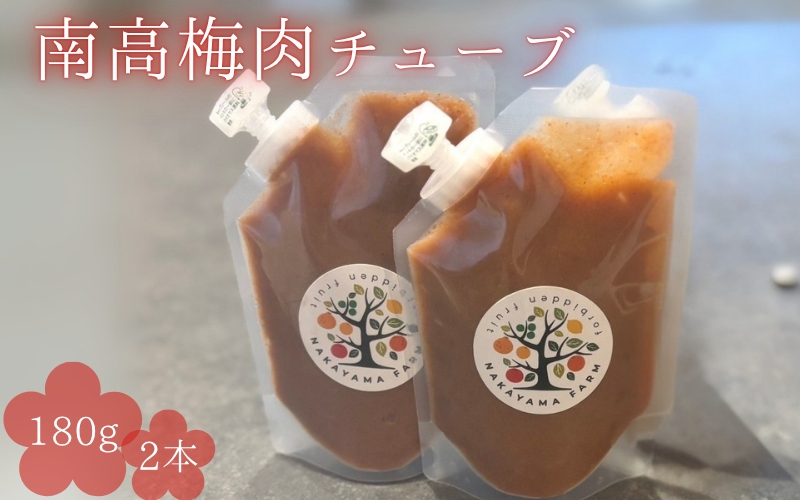 南高梅肉チューブ 180g×2 / ねり梅 練り梅 紀州南高梅 南高梅 梅肉 調味料 和歌山県 田辺市【nak045-1】