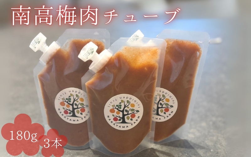 南高梅肉チューブ 180g×3 / ねり梅 練り梅 紀州南高梅 南高梅 調味料 梅肉 和歌山県 田辺市【nak046】