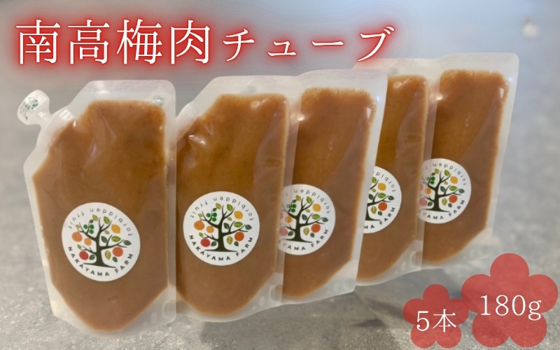 南高梅肉チューブ 180g×5 / ねり梅 練り梅 紀州南高梅 南高梅 調味料 梅肉 和歌山県 田辺市【nak047】