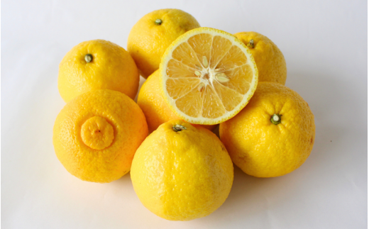 晩柑  はるか    三栖の『はるか』’ｓ11個入　 ※２月中旬～3月上旬頃に順次発送予定【期間限定・先行予約・1月末まで】 / 柑橘 果実酒 ピール マーマレード  さっぱり 田辺市 希少 晩柑【ngm008-2】