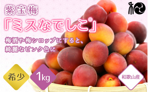 【2026年分先行予約】紫宝梅『ミスなでしこ®』【青梅：1kg】※2026年6月上中旬頃に順次発送予定【期間限定・先行予約・5/30まで】  / 田辺市 青梅 梅 紫宝梅 大梅 大玉 梅シロップ 梅酒【ngm009】
