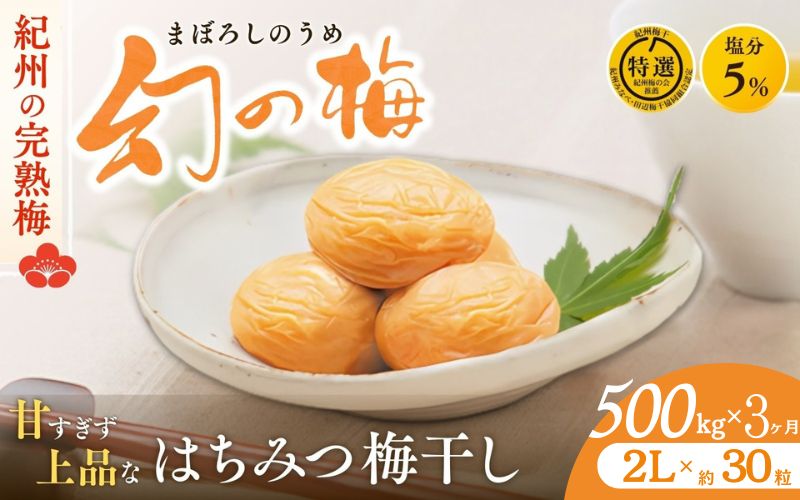 【3ヶ月定期便】 大人気梅干し 幻の梅 500g (粒2L/約30粒) <はちみつ梅干/塩分5％> / 梅干し 梅干 紀州南高梅 南高梅 梅 和歌山 田辺 はちみつ 蜂蜜 減塩 5％ 塩分控えめ ご飯のお供 お歳暮 ギフト お祝い お歳暮ギフト【okh028-tk】