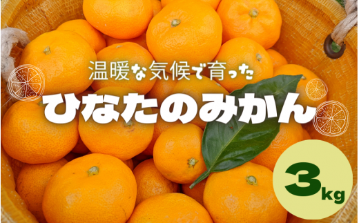 <先行予約>ひなたのみかん　3kg (箱込み）※2025年12月頃に順次発送予定【期間限定・先行予約・2025/12/25まで】 / 田辺市 みかん 期間限定 先行予約 ミカン 和歌山 紀州【okm002-1】