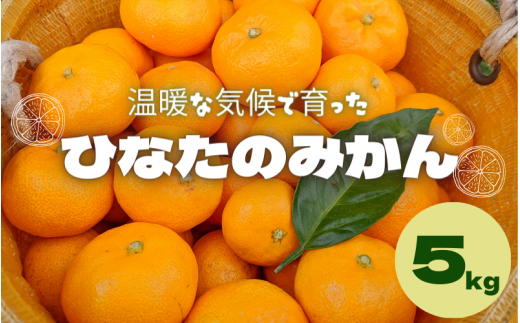 ＜先行予約＞ひなたのみかん　5kg(箱込み） ※2025年12月頃に順次発送予定【期間限定・2025/12/25まで】 / 田辺市 みかん 期間限定 先行予約 ミカン 和歌山 紀州【okm005】