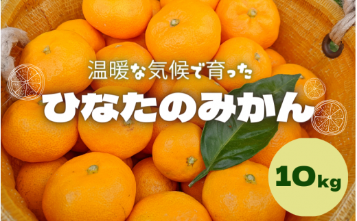 ＜先行予約＞ひなたのみかん 10kg(箱込み） ※2025年12月頃に順次発送予定【期間限定・2025/12/25まで】  / 田辺市 みかん 期間限定 先行予約 ミカン 和歌山 紀州【okm010】