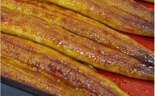 国産うなぎ 蒲焼3本と白焼2本の紅白セット / 和歌山 田辺市 国産 国産うなぎ 国産鰻 うなぎ 鰻 鰻丼 うな丼 土用の丑の日  白焼 蒲焼 セット 紅白 【ots023】