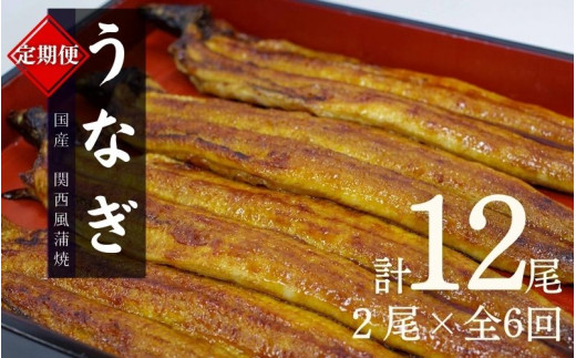 【6カ月定期便】国産うなぎ蒲焼（２本）タレ付き×6回 /  定期便 毎月お届け 和歌山 田辺市 国産 国産うなぎ 国産鰻 うなぎ 鰻 鰻丼 うな丼 土用の丑の日 冷凍【ots025-tk】