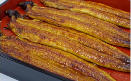 【3カ月定期便】 国産うなぎ蒲焼 大サイズハーフカット（頭尾なしで1袋70g以上）3袋セット×3回 / 国産うなぎ 国産鰻 うなぎ 鰻 定期便 鰻丼 うな丼 土用の丑の日  田辺市 国産  【ots033-tk】